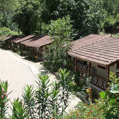 Eco Family Park Hotel Beskonak Exterior photo