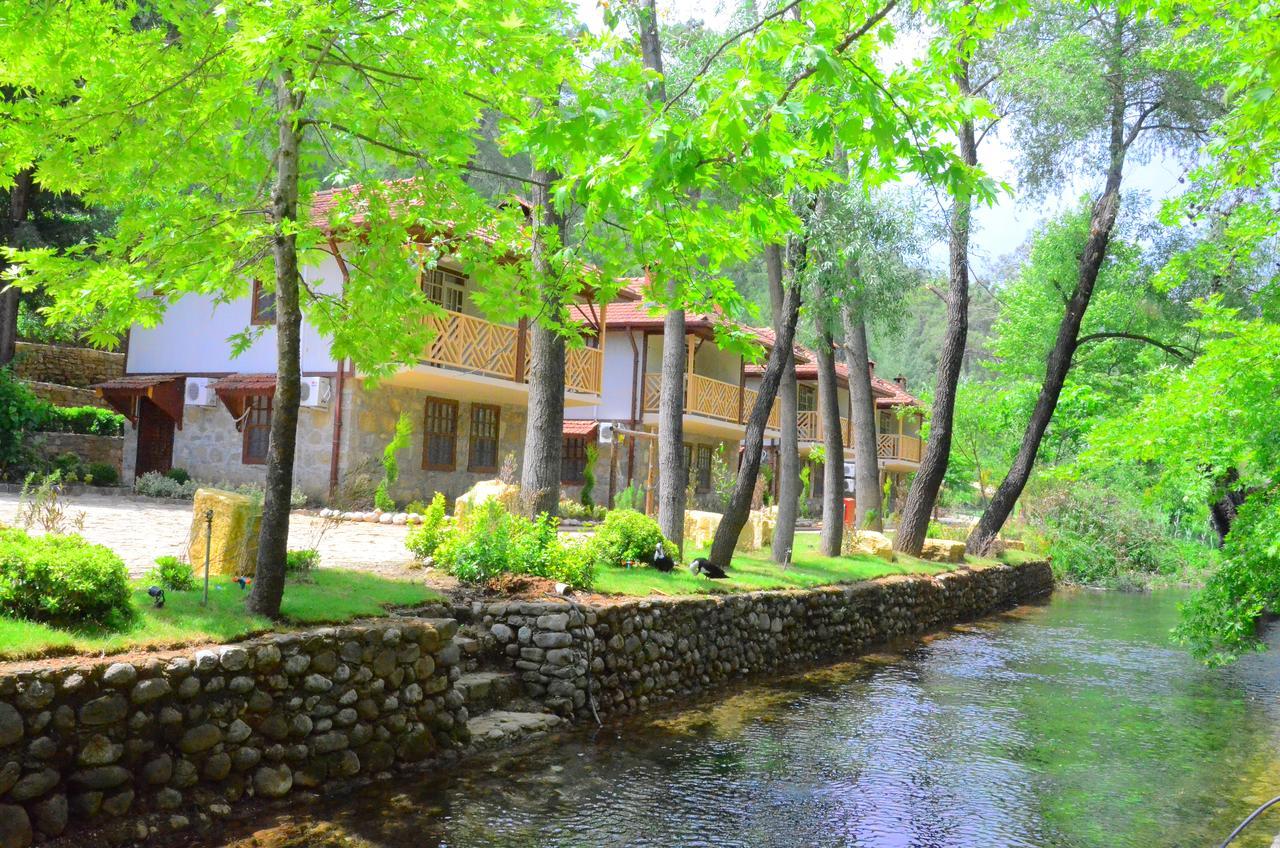 Eco Family Park Hotel Beskonak Exterior photo